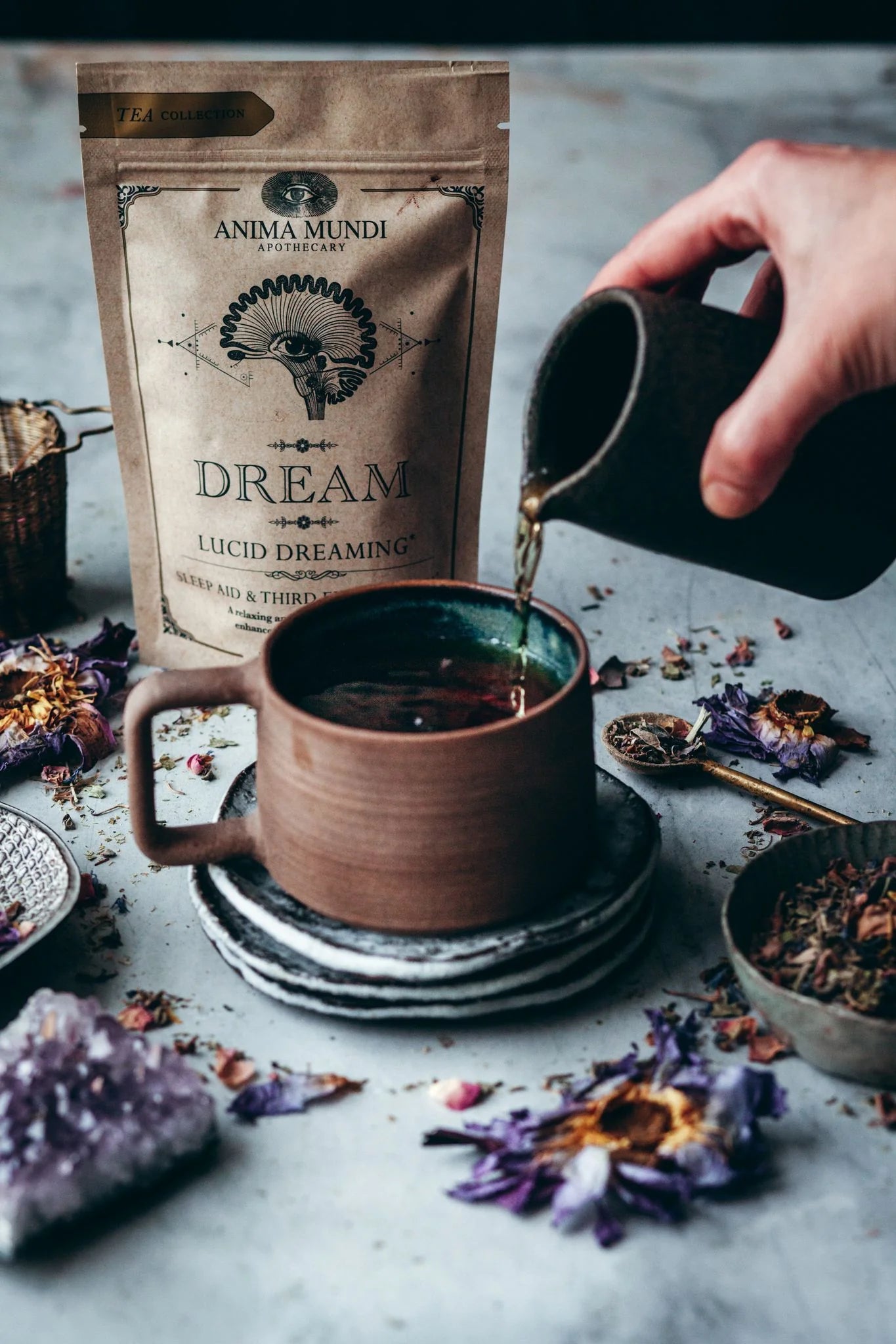 DREAM Tea | Sleep Support Tonic