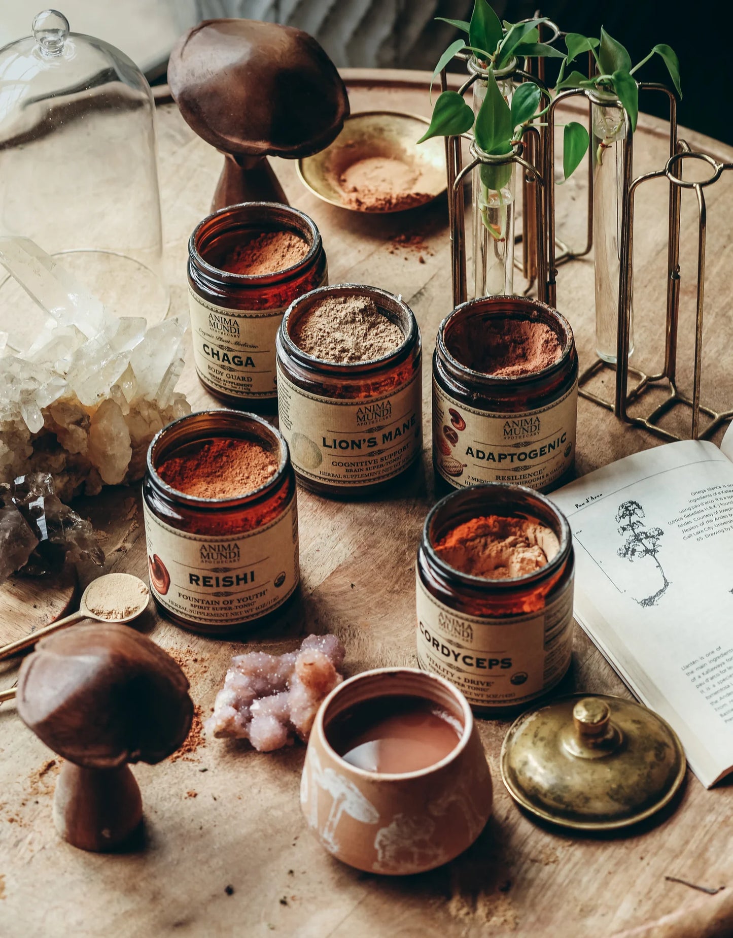CORDYCEPS | Organic Mushroom Powder, Energy Super Tonic*