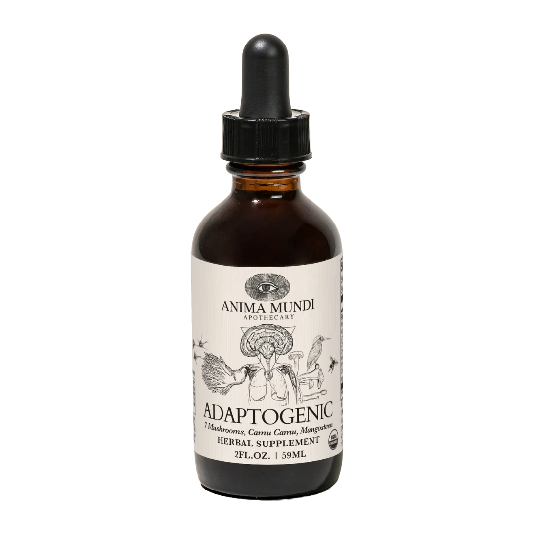 ADAPTOGENIC Tonic | Organic, 7 Mushrooms, Camu Camu, Mangosteen