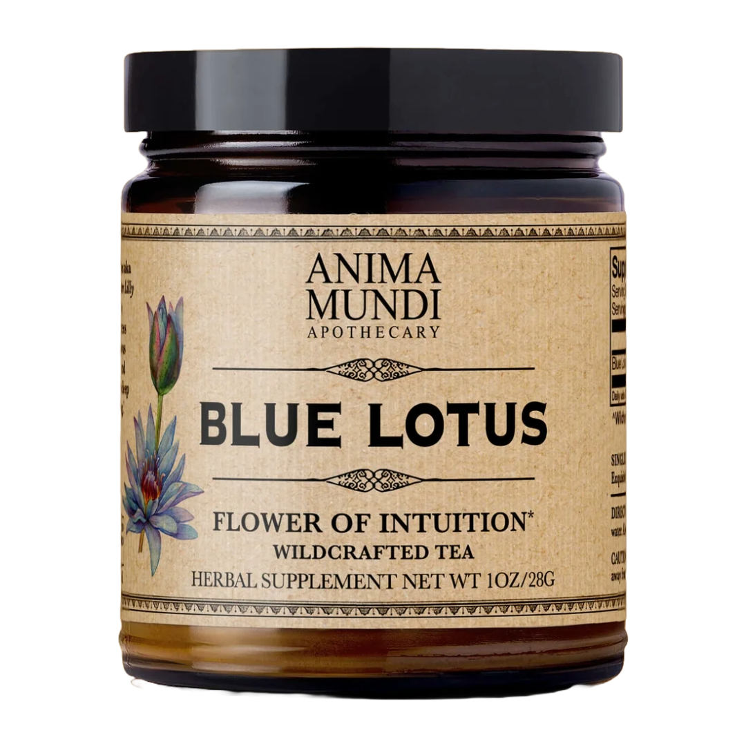 BLUE LOTUS | Flower of Intuition