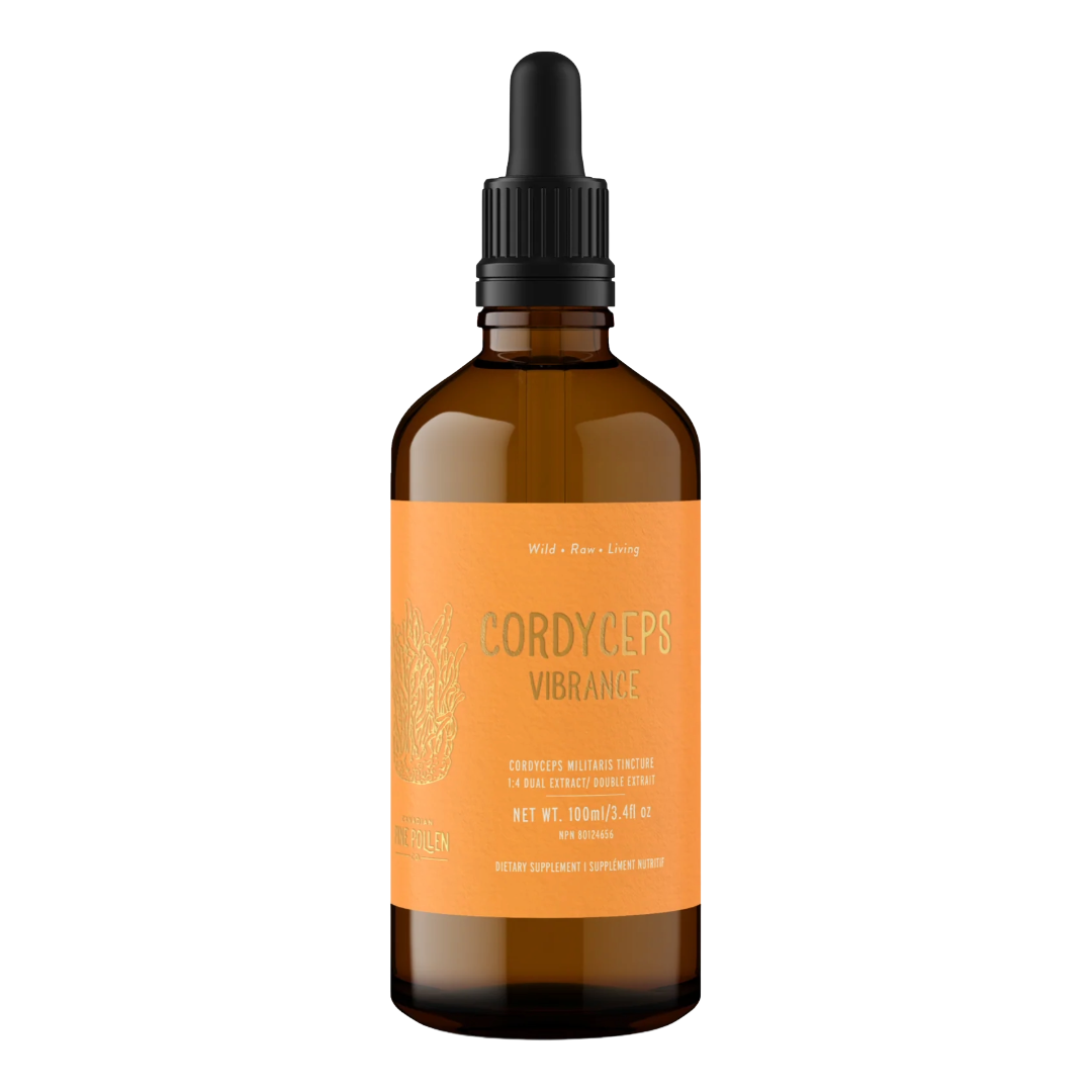 High Potency Cordyceps Tincture dual extract - Organic Fruiting body - 1:4