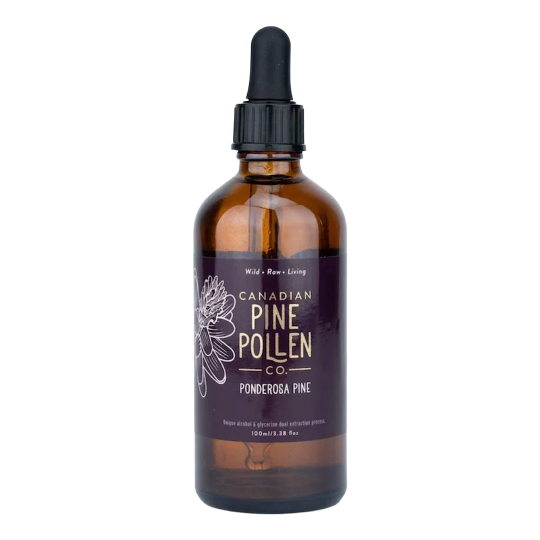 Wild Ponderosa Pine Pollen Tincture 1:6 - Certified Organic