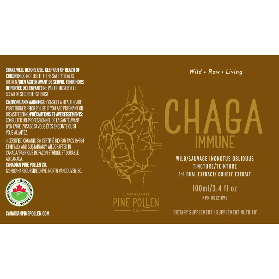 Chaga Mushroom Dual Extract | Wild Chaga Tincture (250mg/ml)