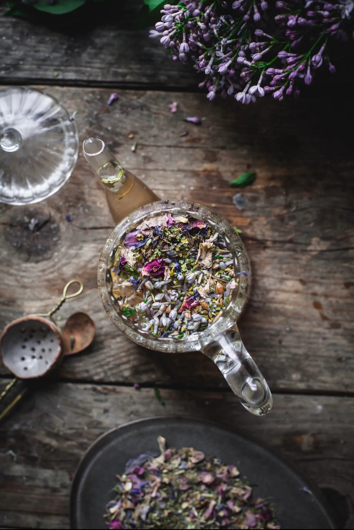DREAM Tea | Sleep Support Tonic