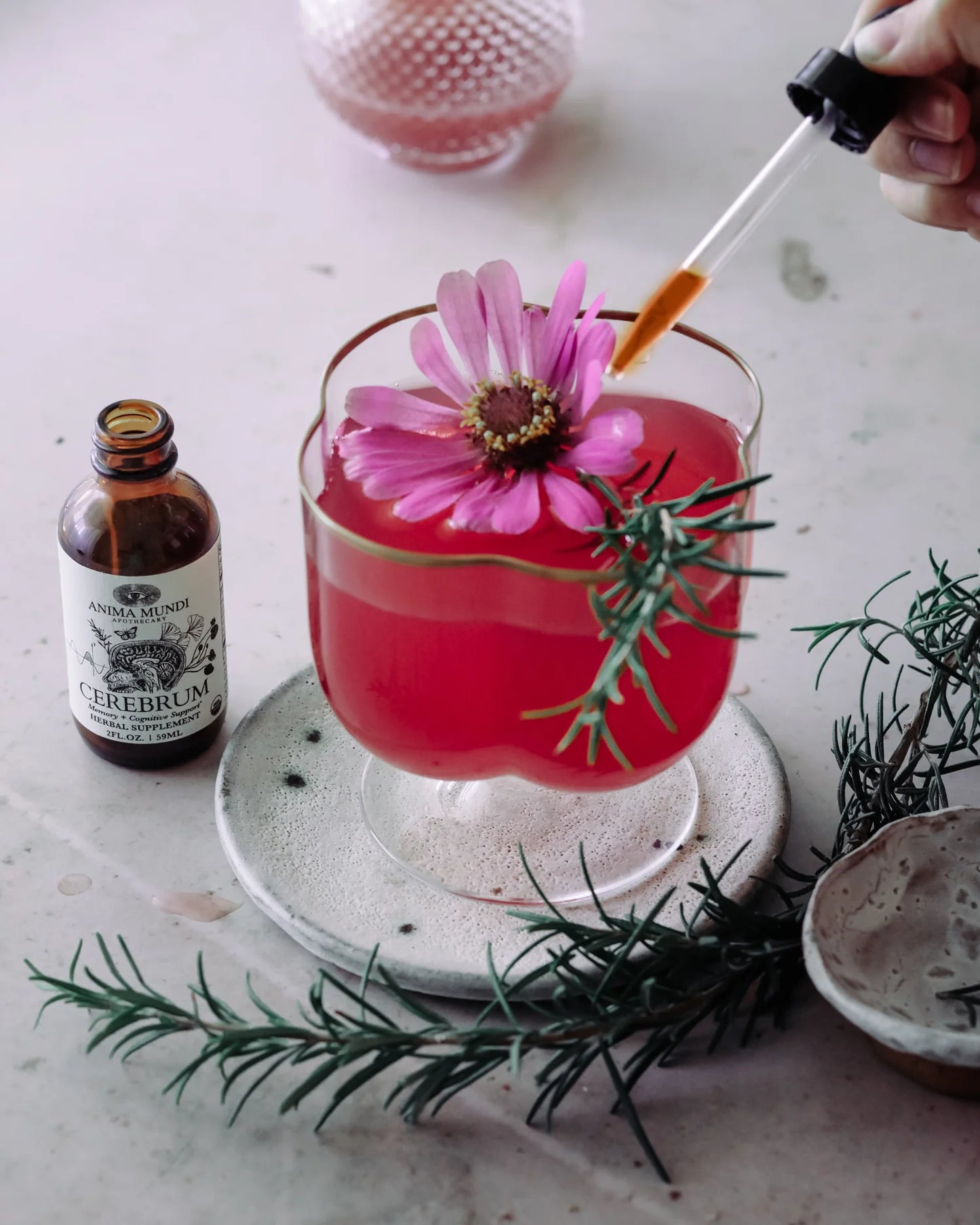 CEREBRUM Tonic | Memory + Cognitive Support