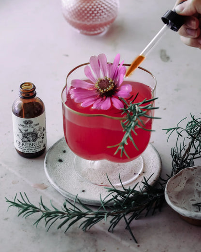 CEREBRUM Tonic | Memory + Cognitive Support