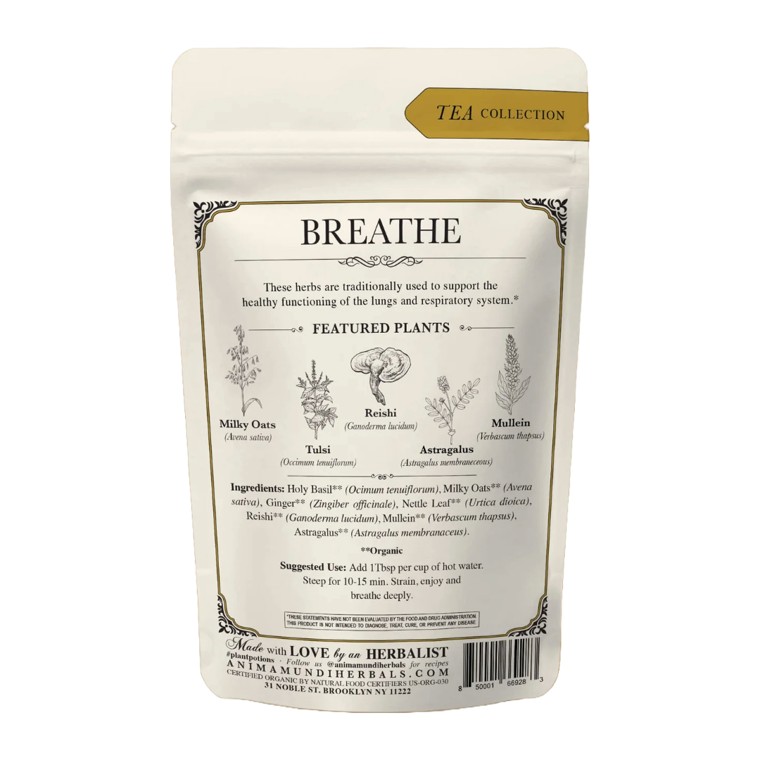 BREATHE Tea | Organic Lung Tonic*