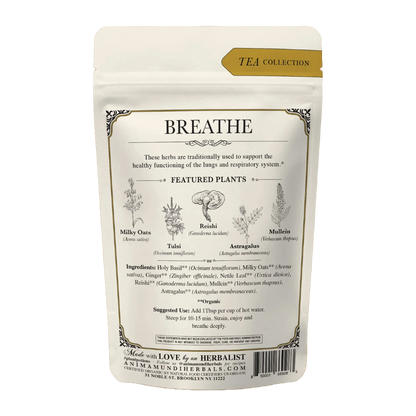 BREATHE Tea | Organic Lung Tonic*