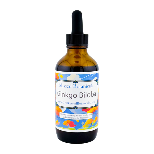 Ginkgo Biloba Extract — Natural Clarity, Focus & Balance
