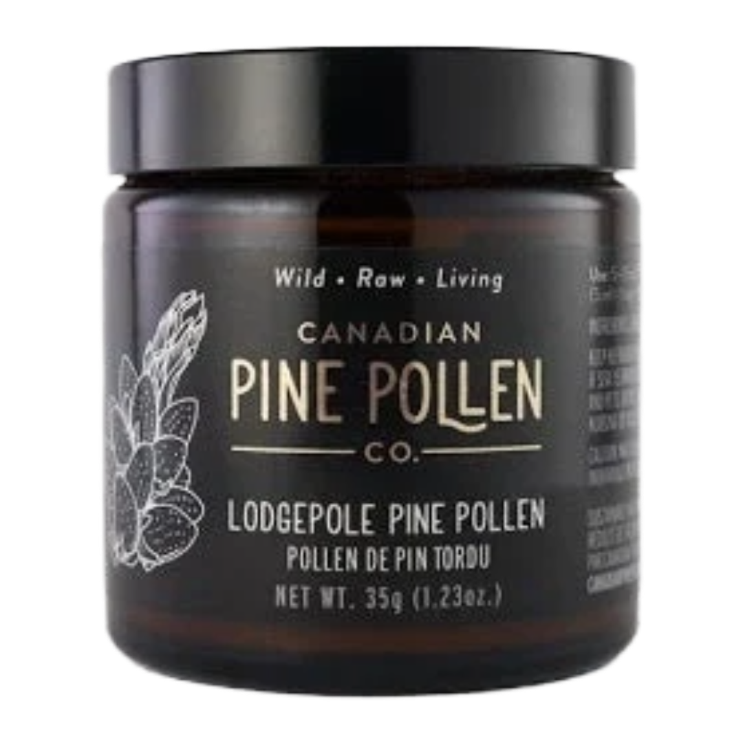 Wild Lodgepole Pine Pollen Powder - Certified Organic