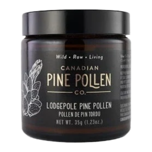 Wild Lodgepole Pine Pollen Powder - Certified Organic