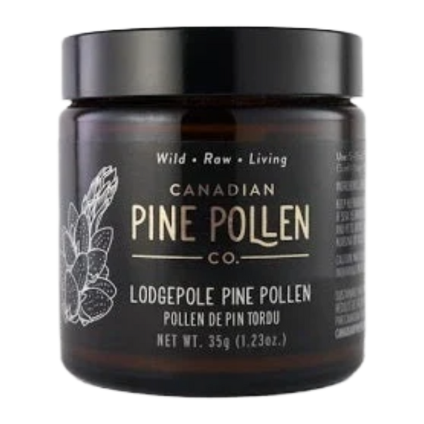 Wild Lodgepole Pine Pollen Powder - Certified Organic