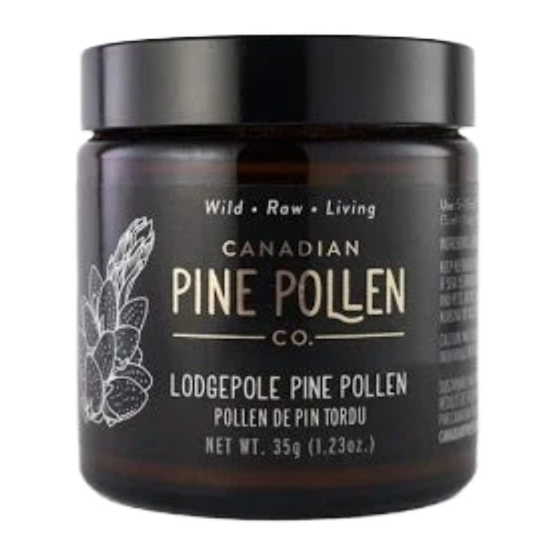 Wild Lodgepole Pine Pollen Powder - Certified Organic