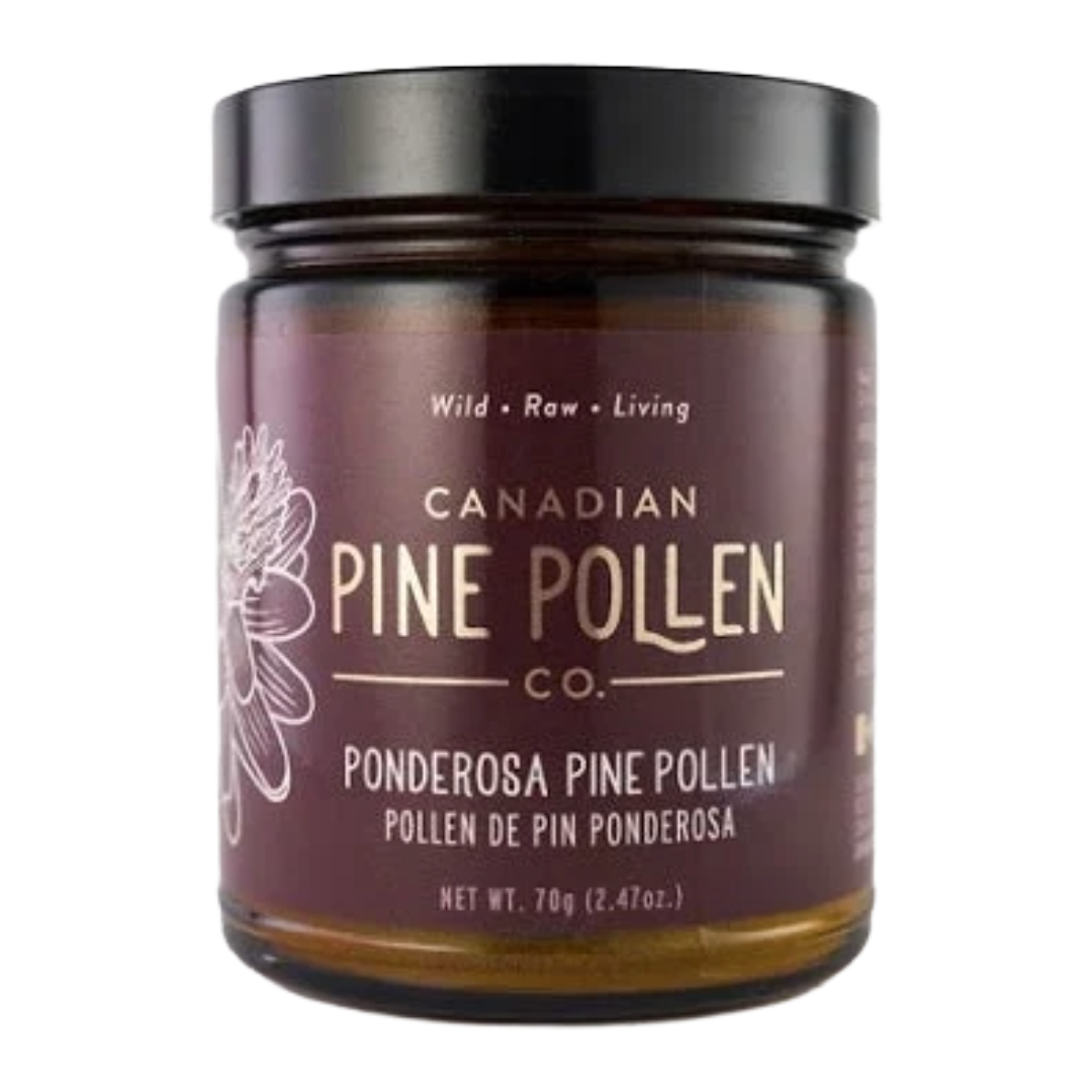 Wild Ponderosa Pine Pollen Powder - Certified Organic