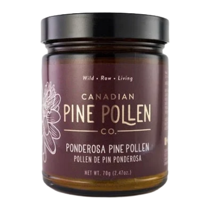 Wild Ponderosa Pine Pollen Powder - Certified Organic