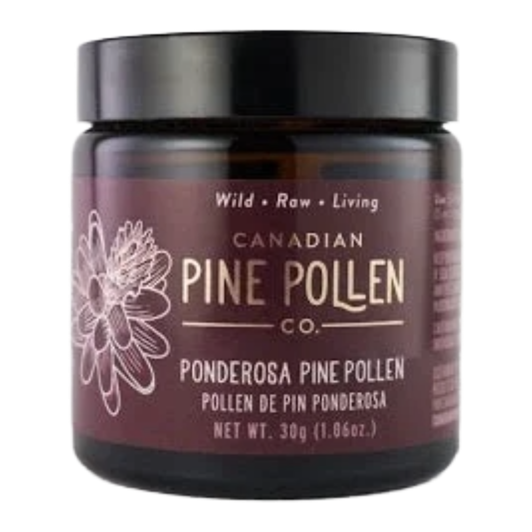 Wild Ponderosa Pine Pollen Powder - Certified Organic