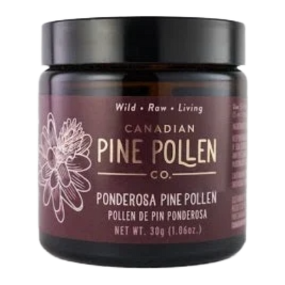 Wild Ponderosa Pine Pollen Powder - Certified Organic