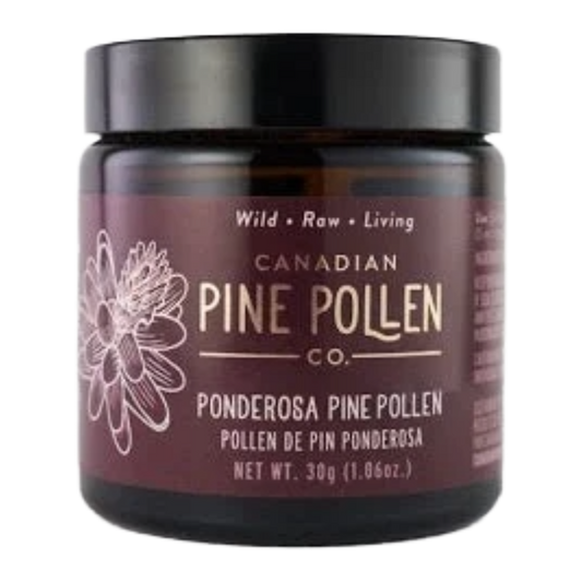 Wild Ponderosa Pine Pollen Powder - Certified Organic
