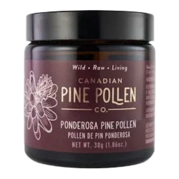 Wild Ponderosa Pine Pollen Powder - Certified Organic