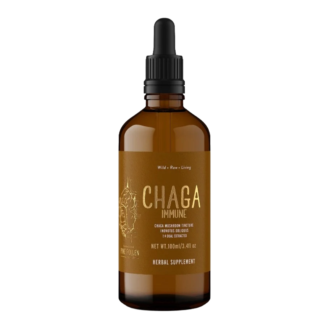 Chaga Mushroom Dual Extract | Wild Chaga Tincture (250mg/ml)
