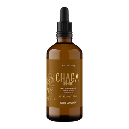 Chaga Mushroom Dual Extract | Wild Chaga Tincture (250mg/ml)
