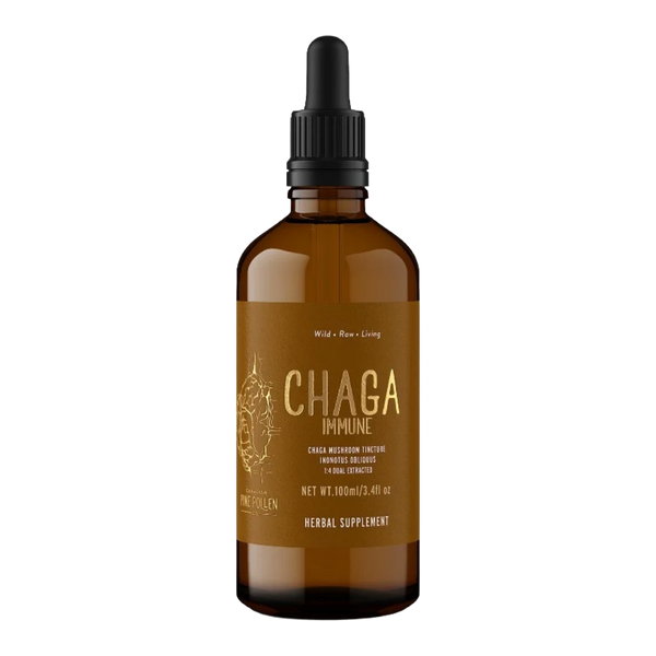 Chaga Mushroom Dual Extract | Wild Chaga Tincture (250mg/ml)