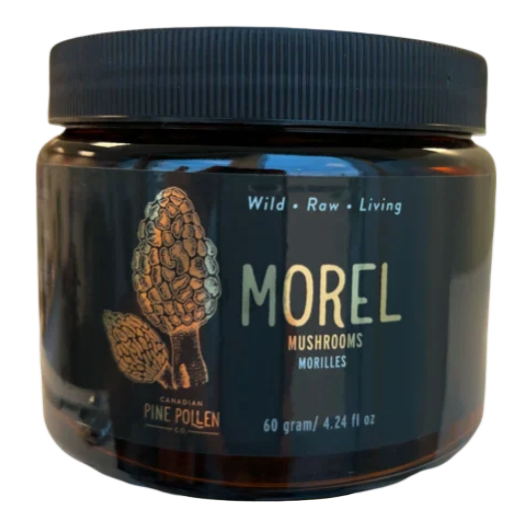 Baby Morel Mushrooms - Premium Petite A Grade