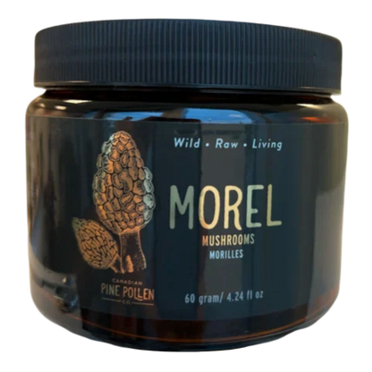 Baby Morel Mushrooms - Premium Petite A Grade