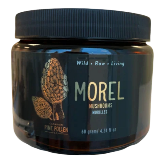 Baby Morel Mushrooms - Premium Petite A Grade