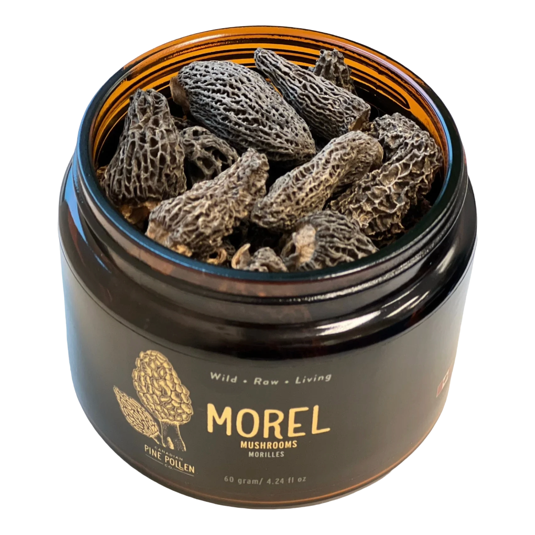 Baby Morel Mushrooms - Premium Petite A Grade