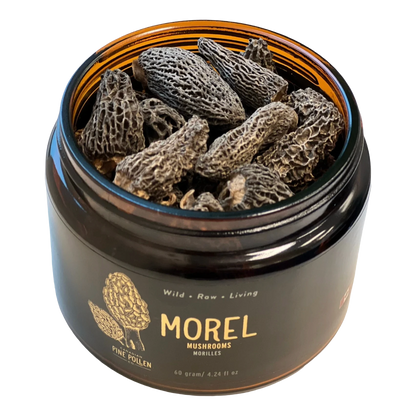 Baby Morel Mushrooms - Premium Petite A Grade