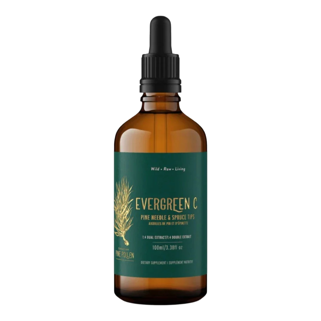 Pine Needle and Spruce Tip Tincture- Evergreen C - 1:6
