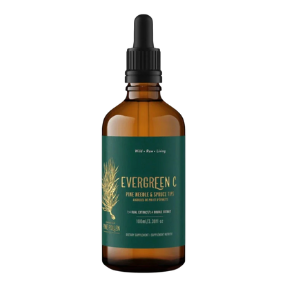 Pine Needle and Spruce Tip Tincture- Evergreen C - 1:6