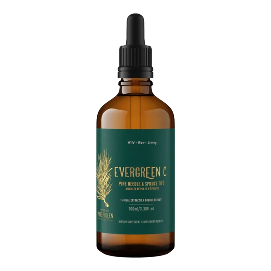 Pine Needle and Spruce Tip Tincture- Evergreen C - 1:6