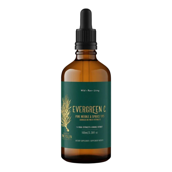 Pine Needle and Spruce Tip Tincture- Evergreen C - 1:6