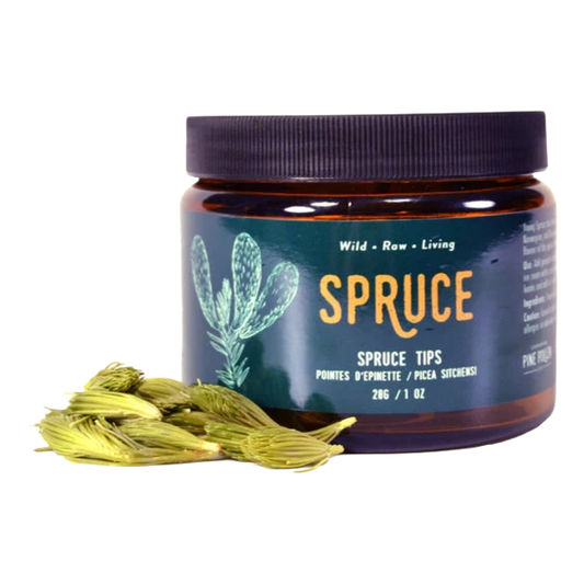 Premium Freeze Dried Spruce Tips
