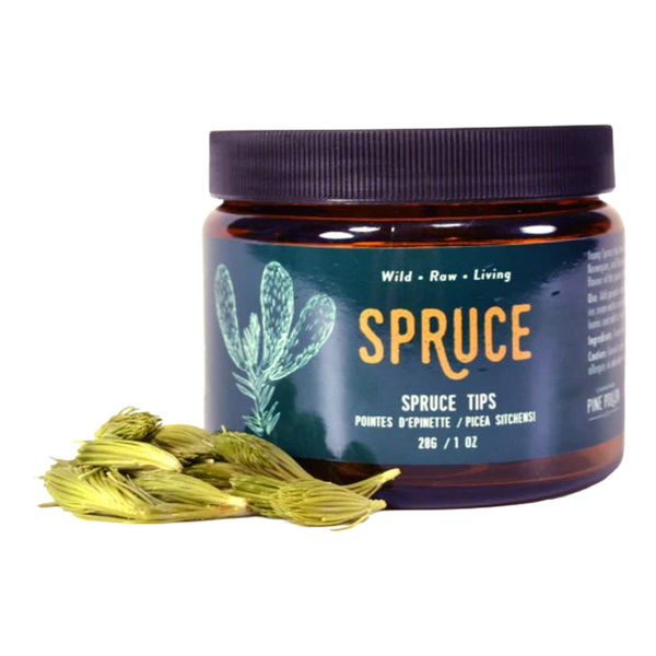 Premium Freeze Dried Spruce Tips