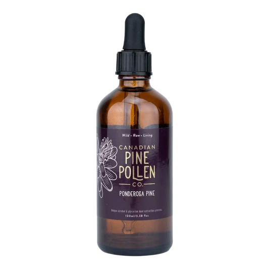 Wild Ponderosa Pine Pollen Tincture 1:6 - Certified Organic