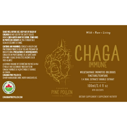 Chaga Mushroom Dual Extract | Wild Chaga Tincture (250mg/ml)