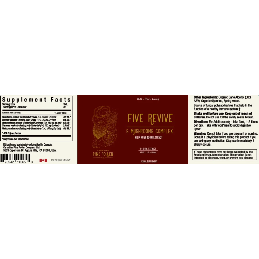 Five Revive Mushroom Complex (250mg/ml) | 1:4 dual extract - Fruiting body