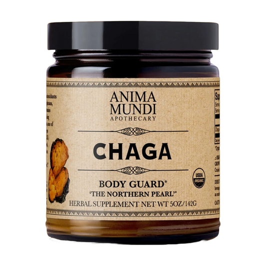 CHAGA | Body Guard