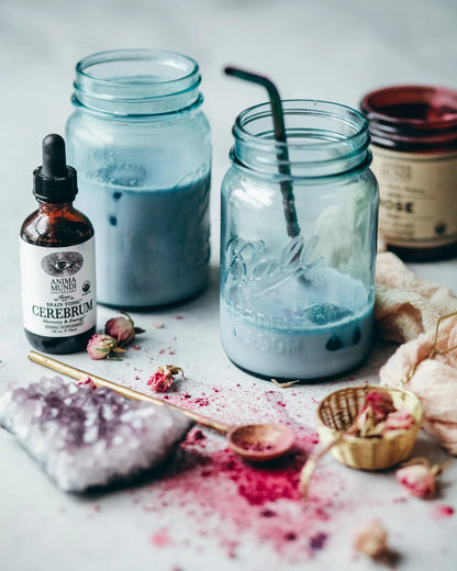 CEREBRUM Tonic | Memory + Cognitive Support