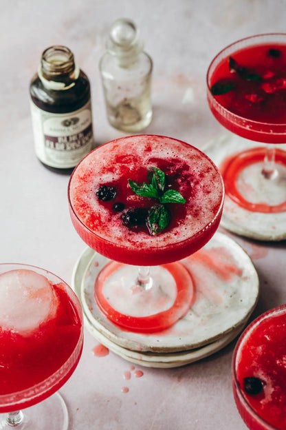 BLACK ELDERBERRY Elixir | Botanical + Mushroom Syrup