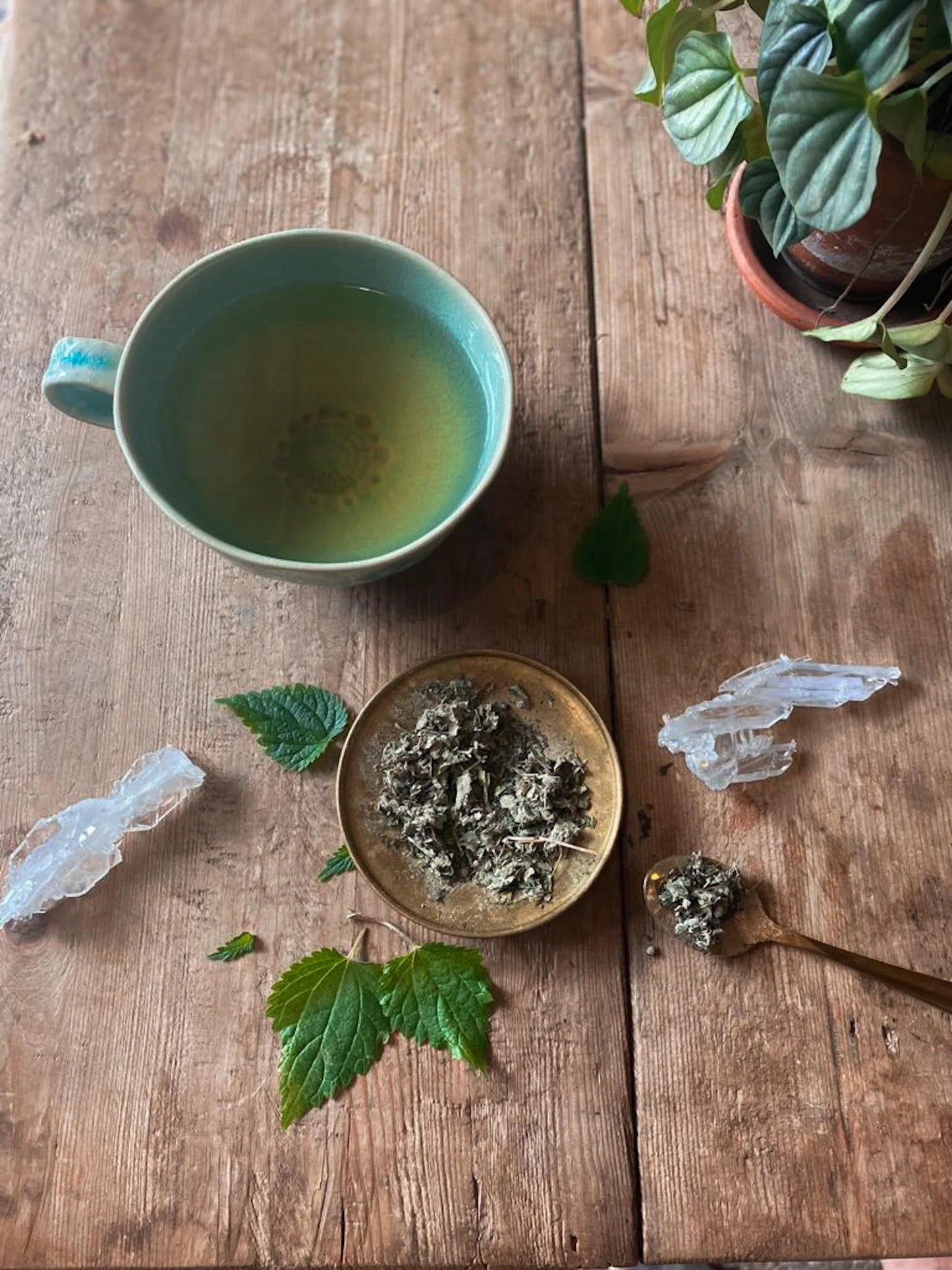 WOMB Tea | Nourish + Empower*